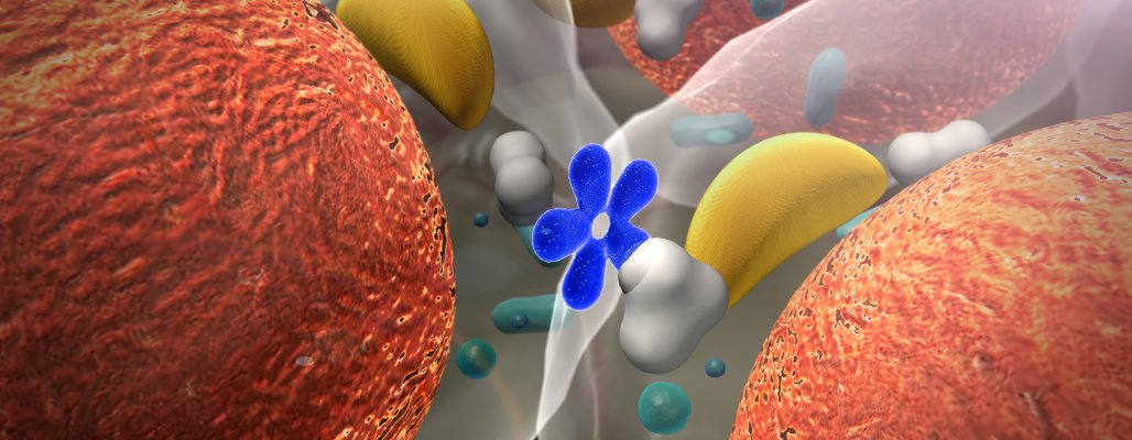 Hormonas bioidénticas