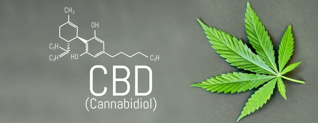 ¿Puede el CBD participar en el proceso de metilación?