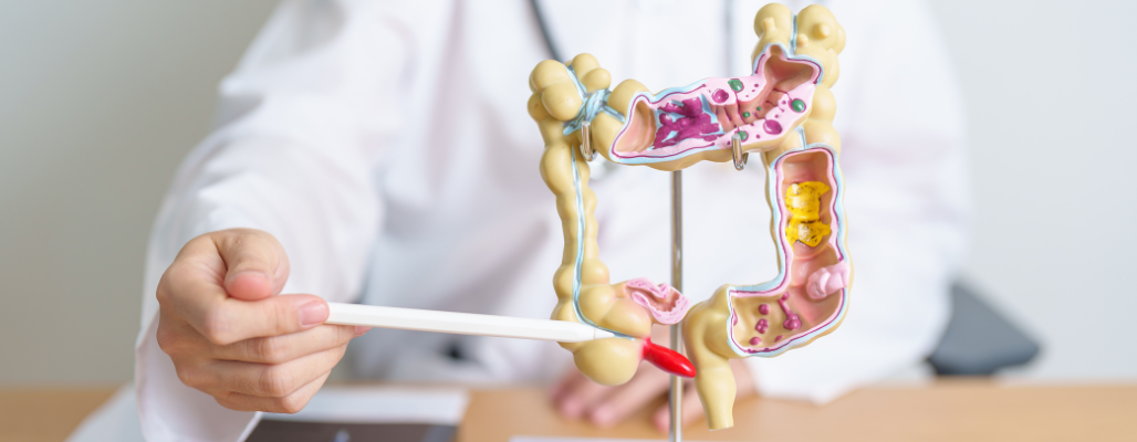 Salud digestiva: la clave para un bienestar integral
