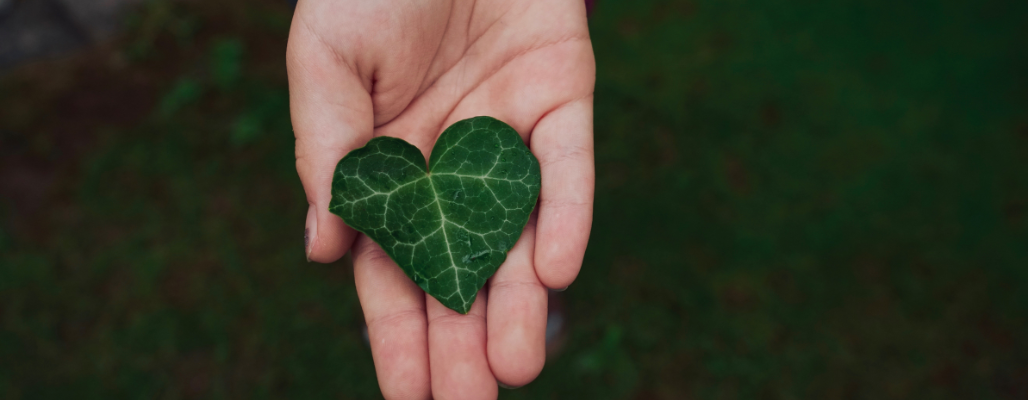 Salud ambiental: La clave oculta del bienestar humano