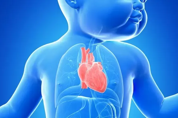 Cardiopatías congénitas: Un enfoque funcional para entender, prevenir y acompañar la salud del corazón