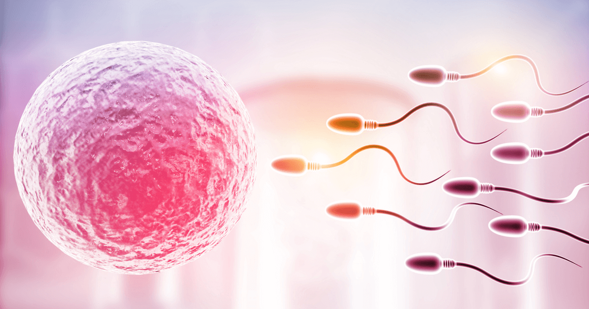 Fertilidad con enfoque funcional: cómo mejorar la fertilidad de forma natural y desde la raíz