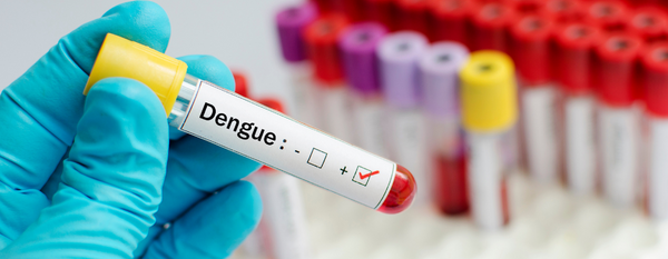 ¿Sabes qué es el dengue?