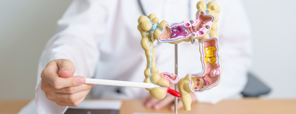 Salud digestiva: la clave para un bienestar integral