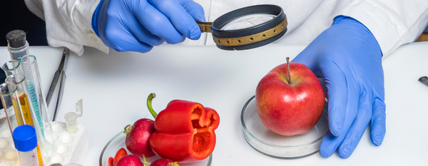 La inocuidad de los alimentos: garantizando una alimentación saludable y segura para todos