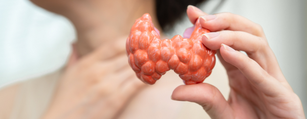 Linfoma: Enfoque funcional para la comprensión, prevención y apoyo integral