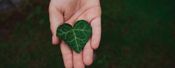 Salud ambiental: La clave oculta del bienestar humano